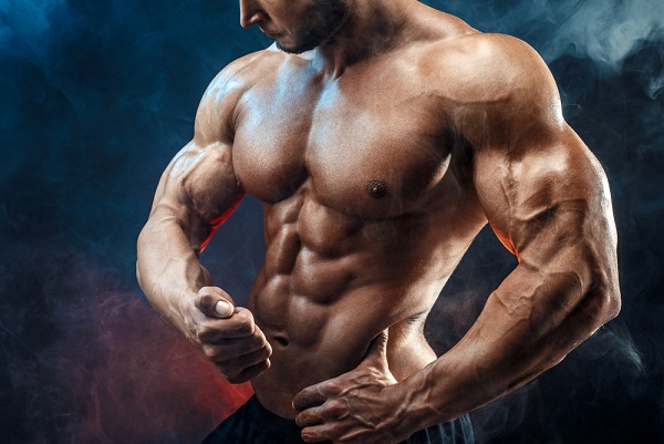 bulking steroid cycles