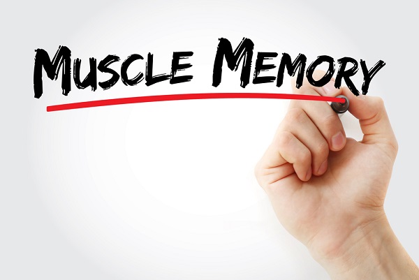 muscle memory