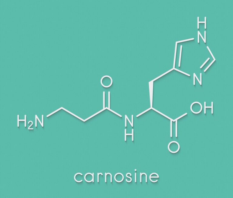 Carnosine Effects