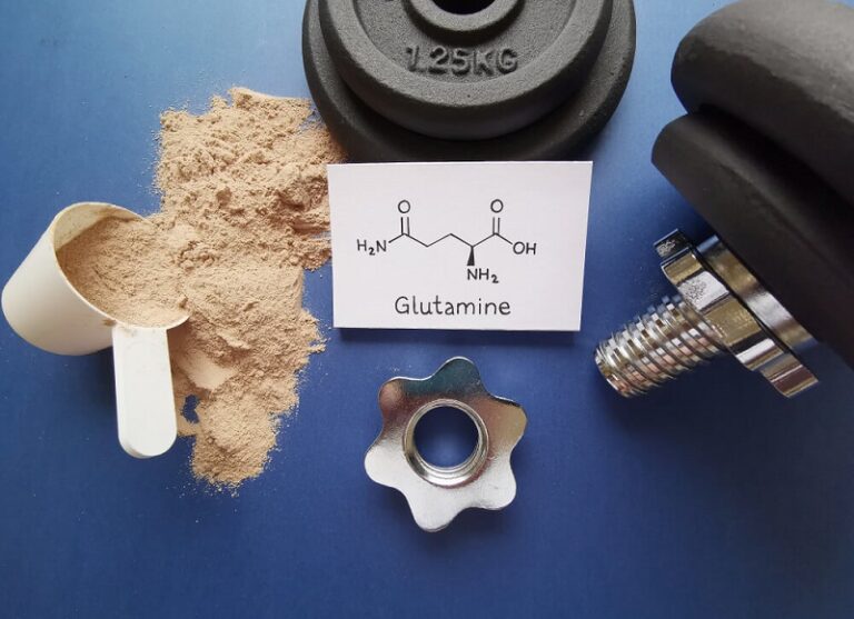 glutamine function in bodybuilding