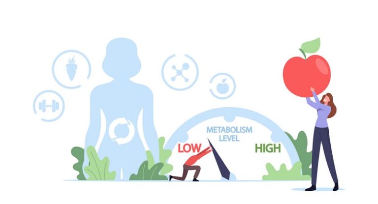 types of metabolism