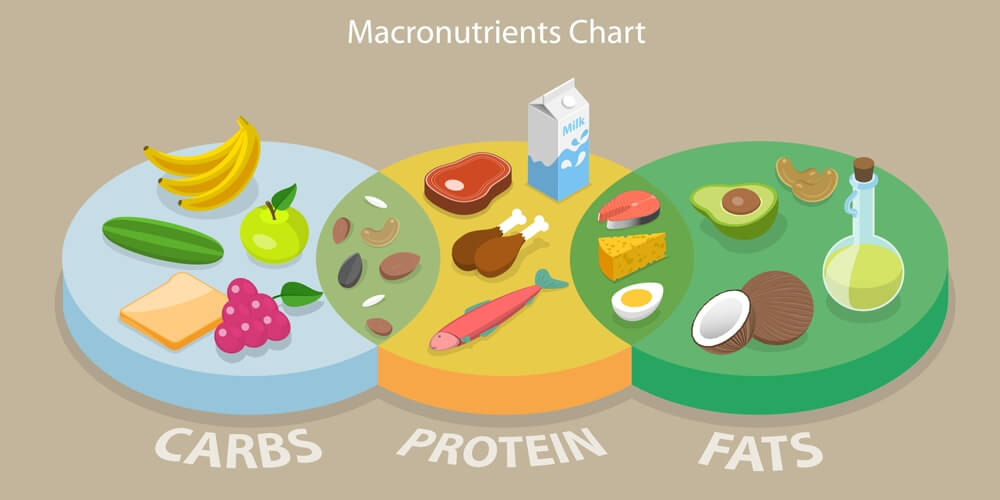 Recommended dose of macronutrient for bodybuilding