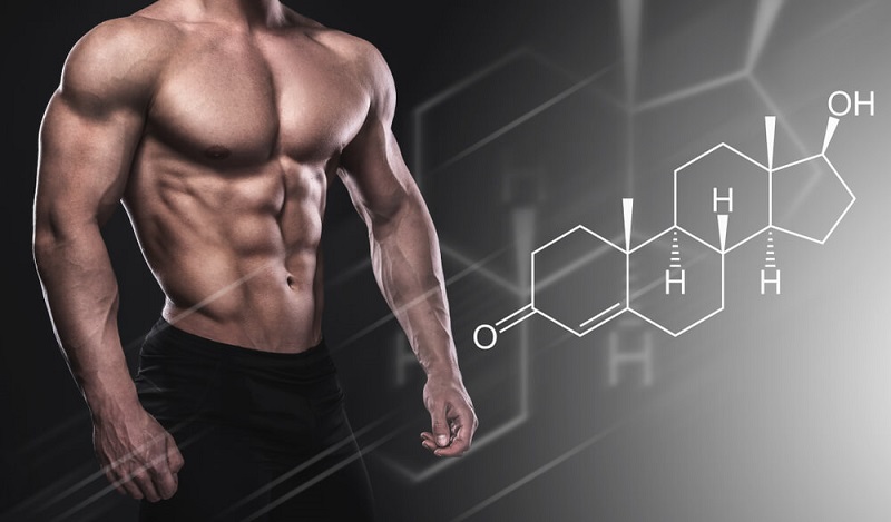 testosterone types for bodybuilding