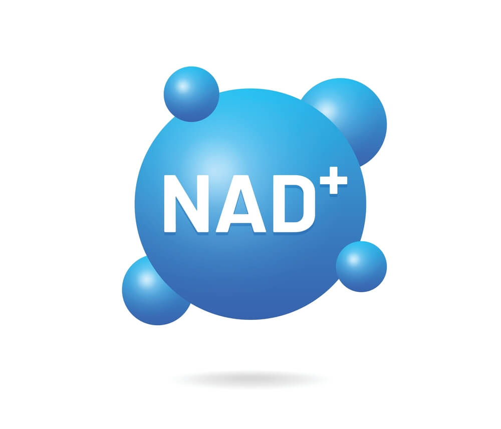 How can we restore our NAD+ levels